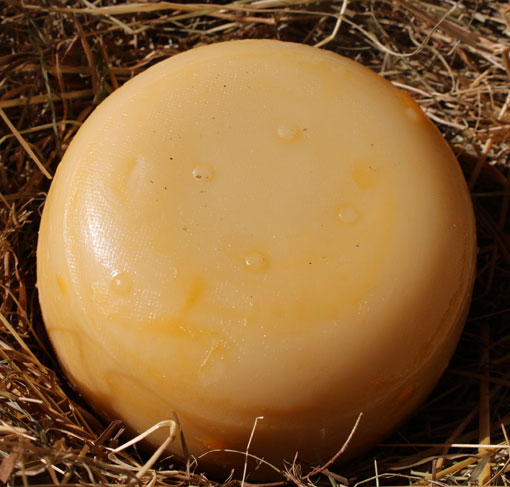 Käse